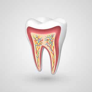 a-root-canal-therapy-quiz